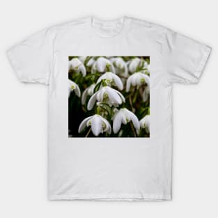 Not long till spring T-Shirt